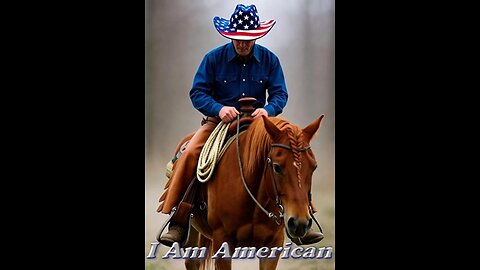 I Am American (not a democratic party man)
