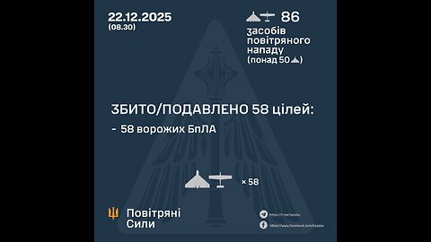 M2 Browning VS Shahed drone