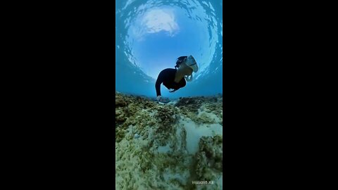 Cruisin’ Underwater