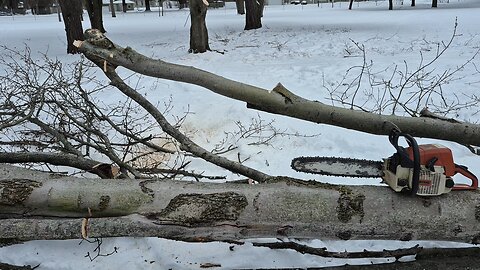 Double Connection of Limbs