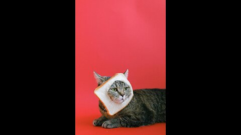 If you are sad, watch this video until the end, all your uncles will be gone.