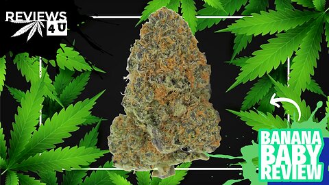 BANANA BABY 🍌 (STRAIN REVIEW) | REVIEWS 4 U