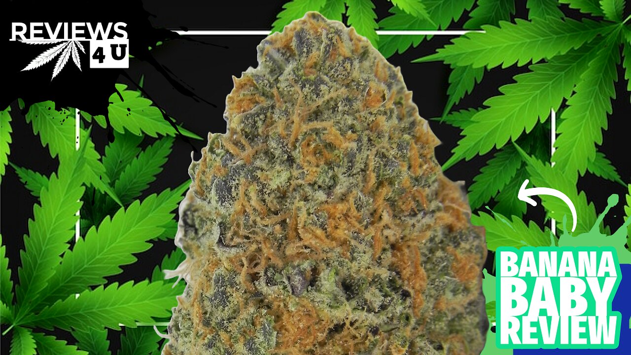 BANANA BABY 🍌 (STRAIN REVIEW) | REVIEWS 4 U