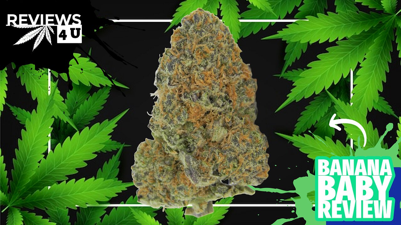 BANANA BABY 🍌 (STRAIN REVIEW) | REVIEWS 4 U