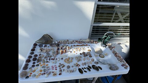 Beach Finds 2/2/2026 | 4K