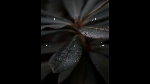 Hadees e nabvi (saw) #islam #viralvideos #islamicreminders #prophetmuhammadsaw #hadeesenabvi