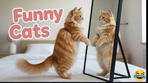Cats Doing Human Things 🤣 You Won’t Believe This!