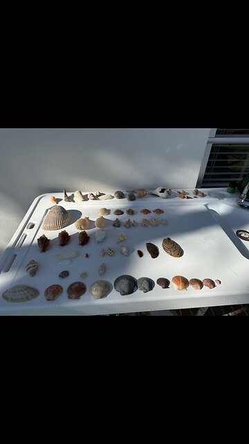 Beach Finds 1/19/2026 | 4K