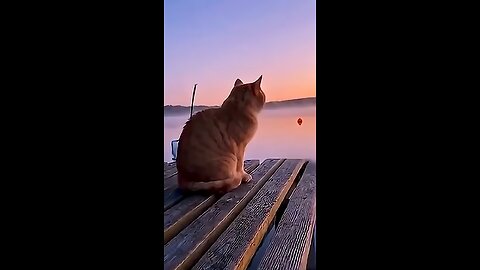 🏝️🤣Wild_Jungle_Showdown__Trump_vs_Putin!😂🍉#Trump#Netanyahu#puti