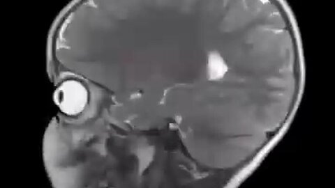 We are in BIG TROUBLE