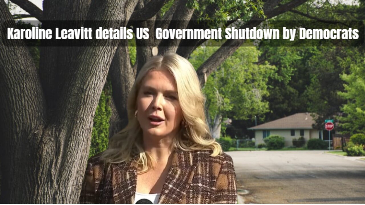 Karoline Leavitt details US Government Shutdown by Democrats