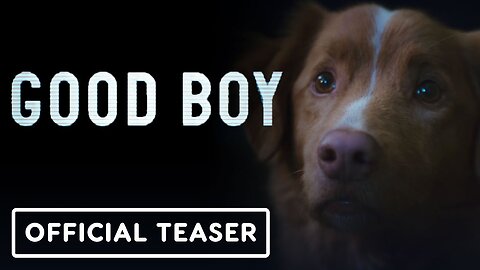 Good Boy: Exclusive PSA Regarding the Dog's Fate
