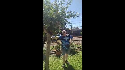 I have decided to Follow Jesus.