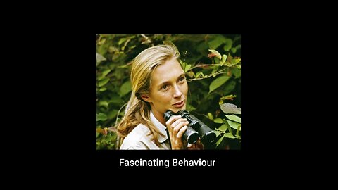 Candace Owens is 🦇💩 CRAZY