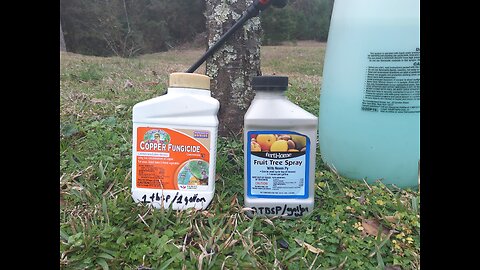 Early Fruit Tree Spraying 1/7/26