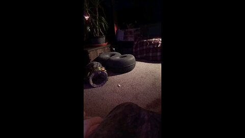 A little cattywompus to brighten your night.