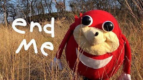 UGANDAN KNUCKLES IN REAL LIFE