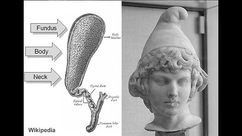 EP. 126 - Mystic Monday Livestream (Occult Anatomy, Arthurian Cycle, Odin as Santa)