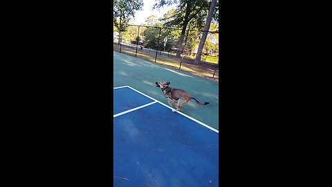 Around The Net