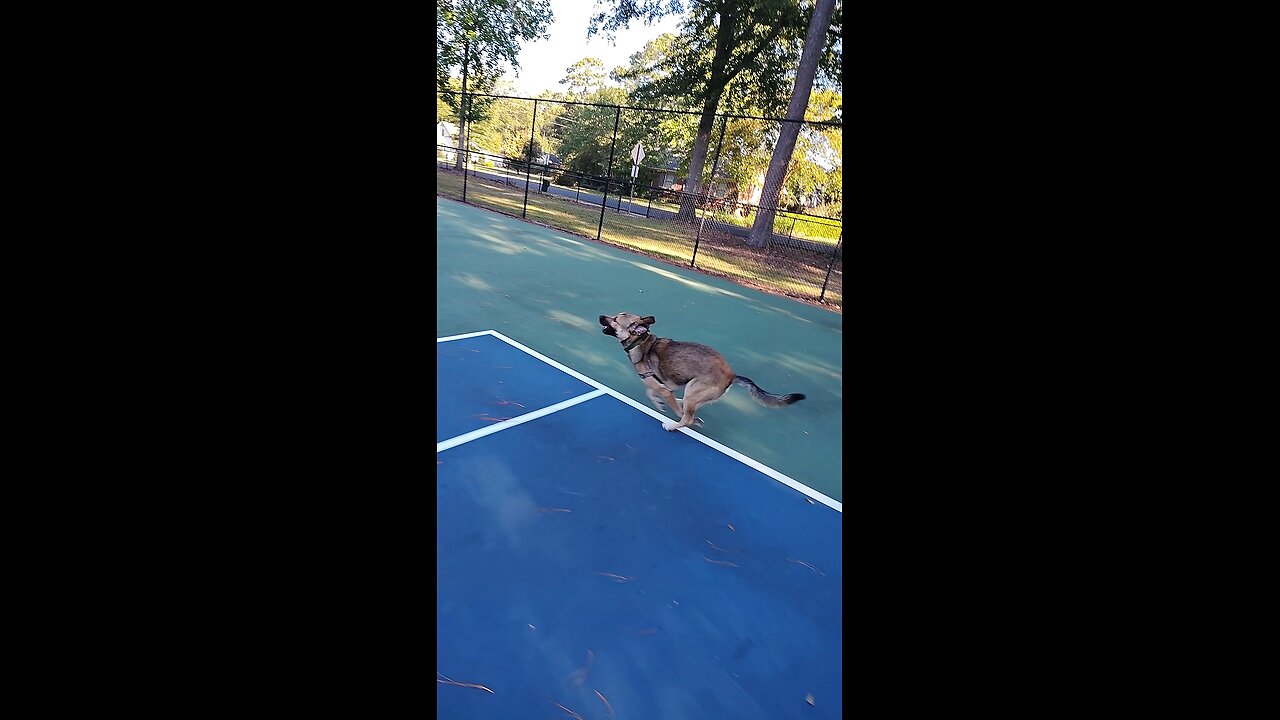 Around The Net
