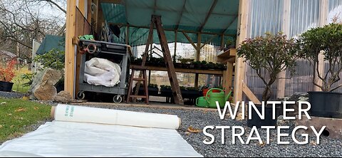 Winter Strategy