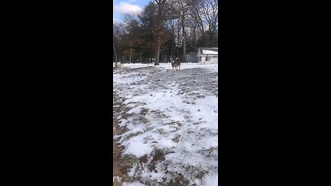 Saturday December 20, God sent the angel Gabriel