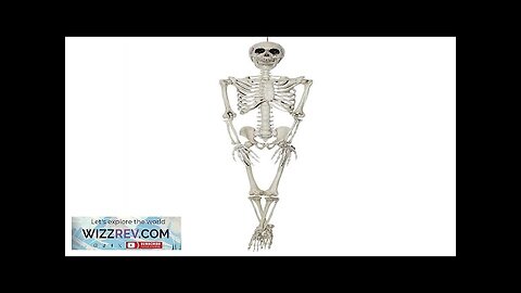 Hanging Skeleton 36 Inch Halloween Decoration Review