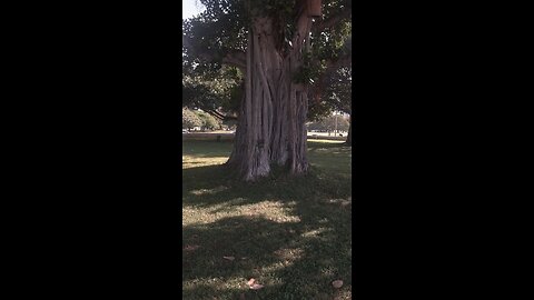 Another test different way