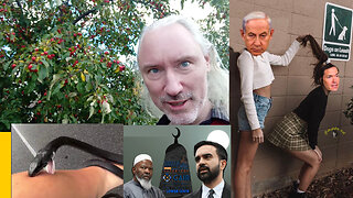 Nyhetsanalys: Osocialistiska bröst. ARCAS. Larry Ellison. Hizbollah intar New York? List-övertalning