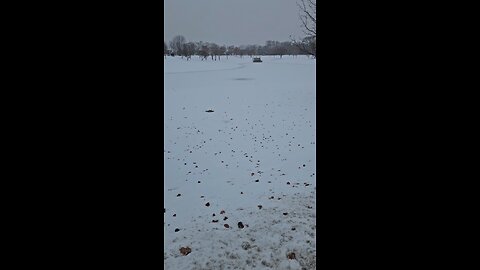 Louis Reservoir Frozen in Winter Weather