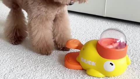 strange machine