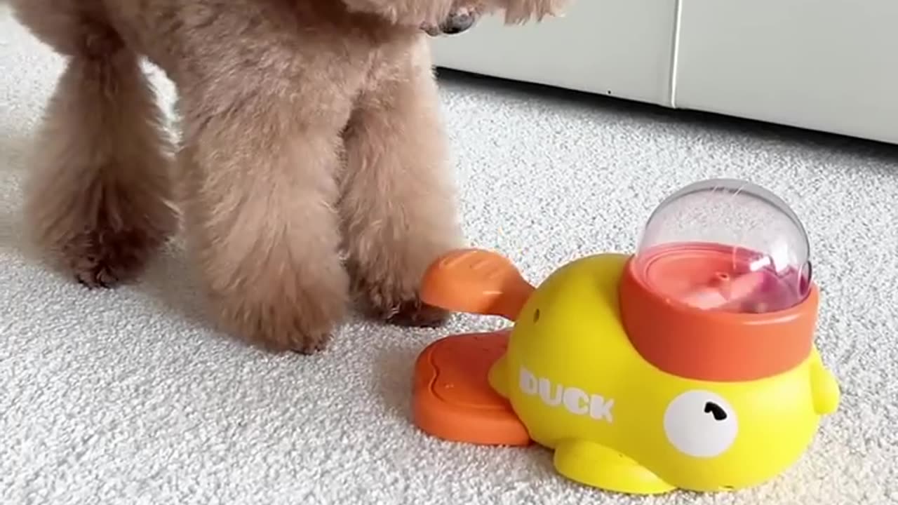 strange machine