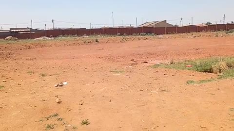 R20 million wall at Boitumelo clinic sparks outrage as patients queue outside