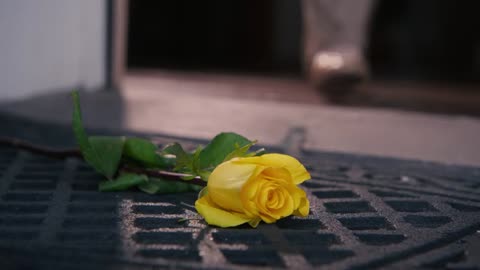 Christmas Roses - Full Movie