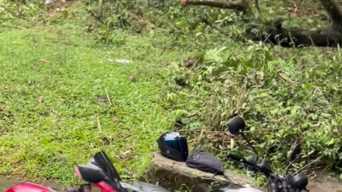 Mamalakandam diaries