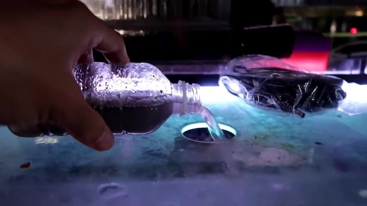 【龍爵士】魚缸硝化菌使用方式