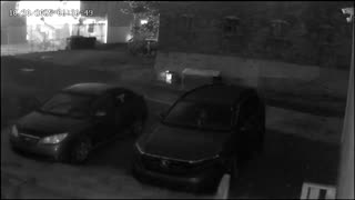 Orbs 1 October 30, 2025 at 6:37 AM