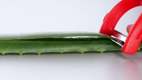 use aloe vera for skin and body aloevera selfcare