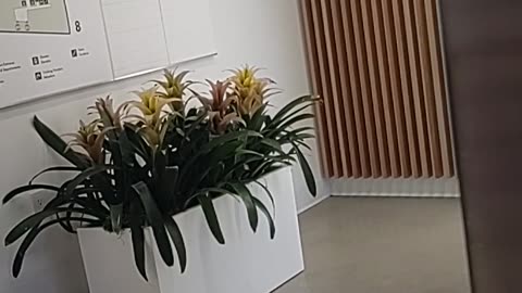 POV: You're going to the doctors office
