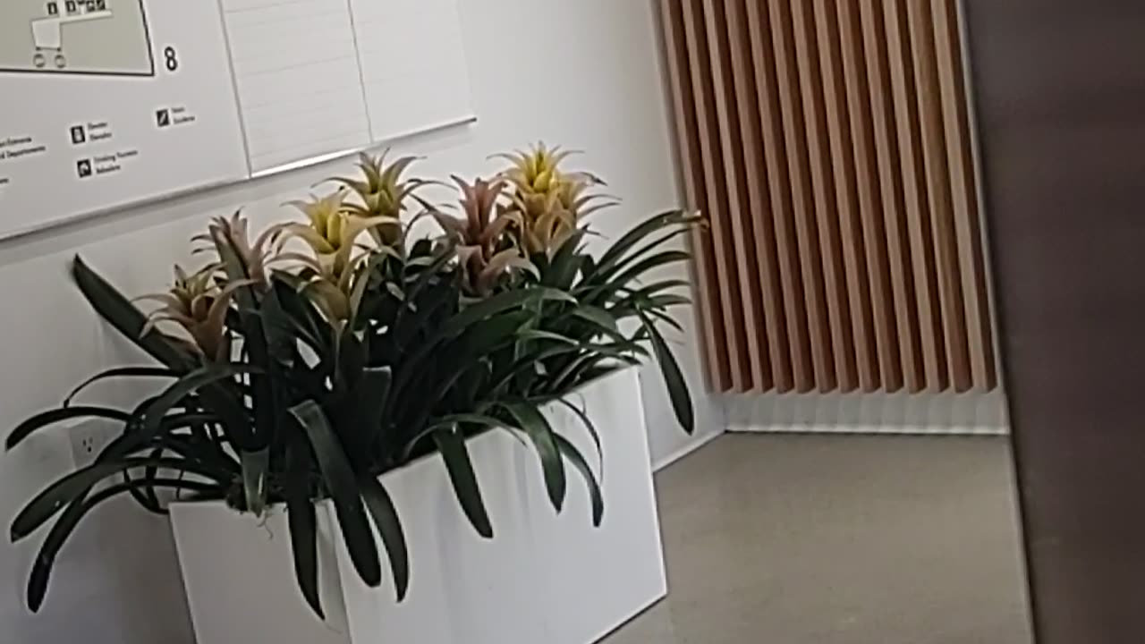 POV: You're going to the doctors office