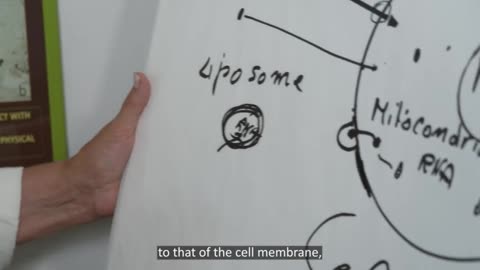 The 'Documentary' They Tried To Ban Across The World. The 'Planet Lockdown' Movie