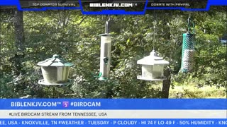 BIBLENKJV.COM™ 🛐 10/14/2025 #LIVE #WEATHER #KNOXVILLE