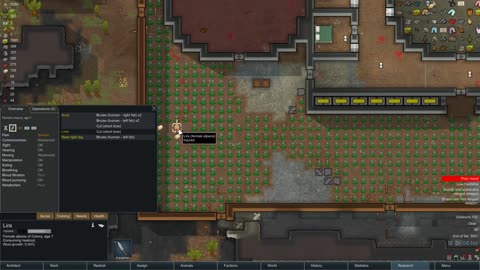 RimWorld v0.13.1135 10 - No Commentary