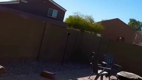 When Your Package Literally Flies to You