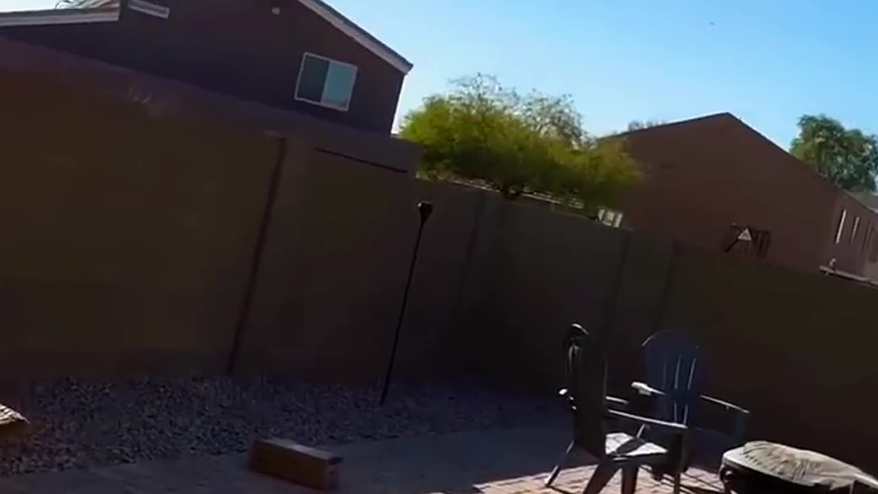 When Your Package Literally Flies to You