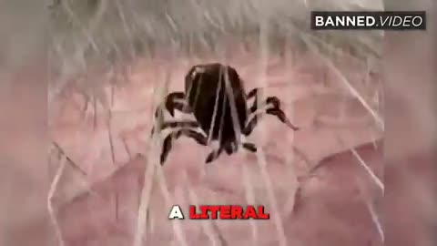 RFK Jr. is correct about Lyme disease being created as a bioweapon in a lab on