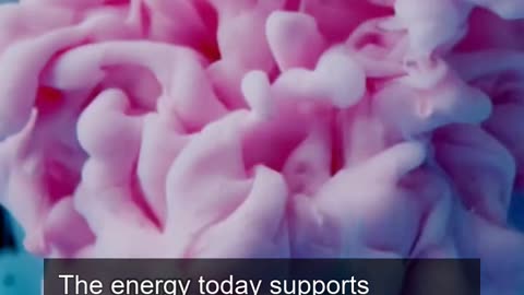 Daily Horoscope | Aquarius 🌟