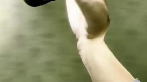 Inside The Backrooms Funny Moments | #insidethebackrooms #horror #horrorgames