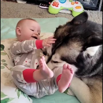 puppy and babies look really cut
