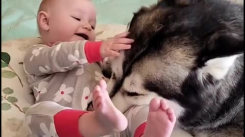 puppy and babies look really cut